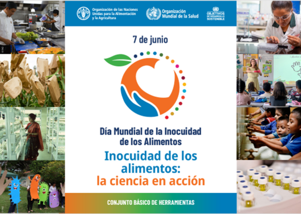 Día mundial de la inocuidad de los alimentos - 7 junio 2025
